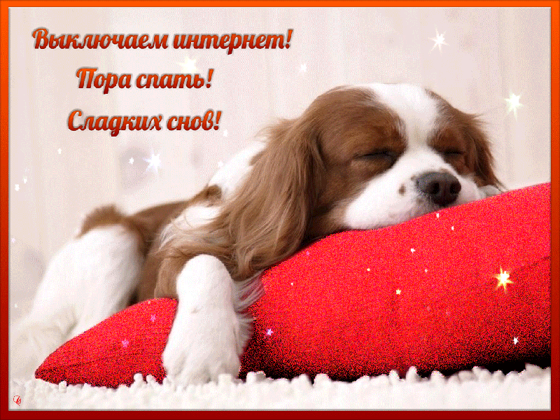 Выключаем интернет! Сладких снов!