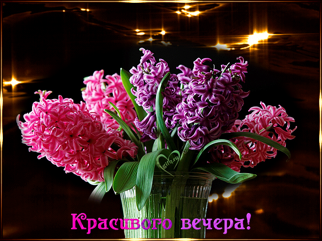 09dcdfc6958d332f7f8f1aededfa109e