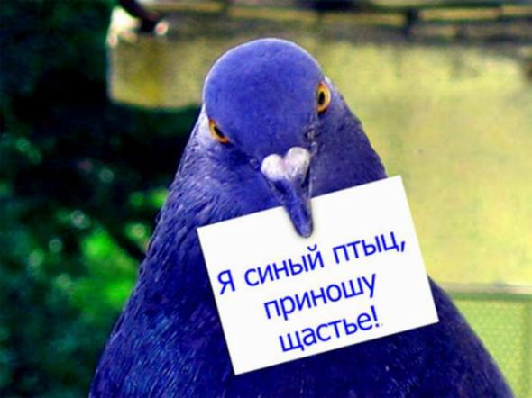 Счастье14