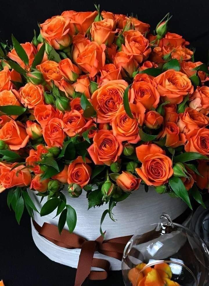 FB IMG 1621024189101