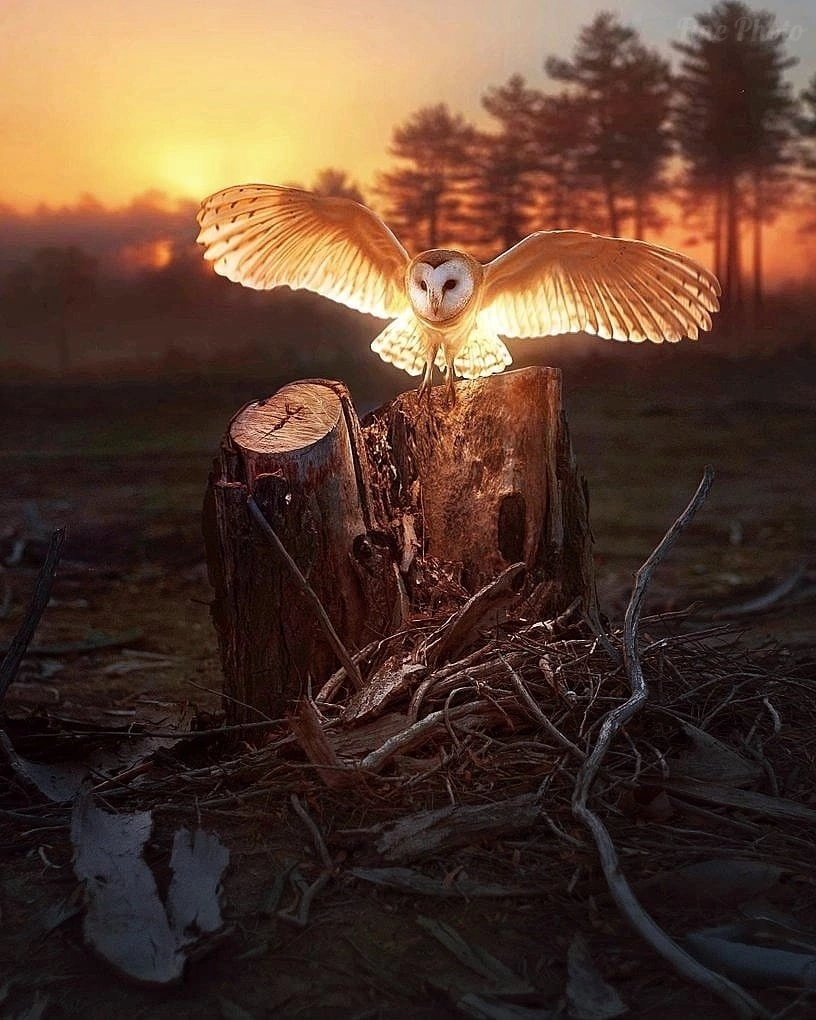 IMG-1fe7557a96e4a152b9447176f2b5565c-V