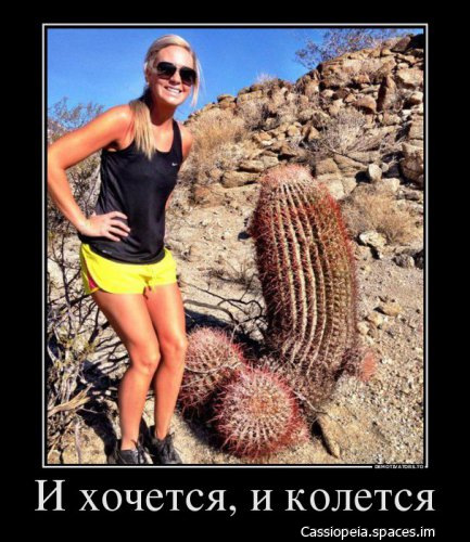 demki