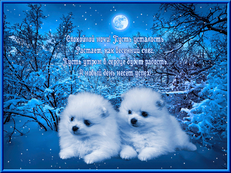 Спокойной ночи! Удачного дня!