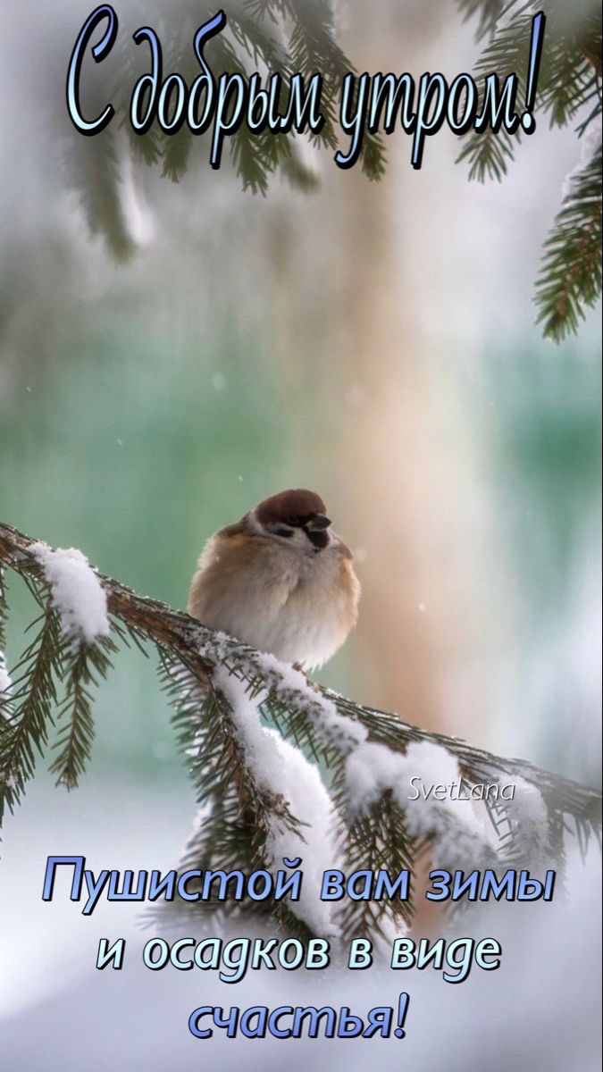 file_92331732