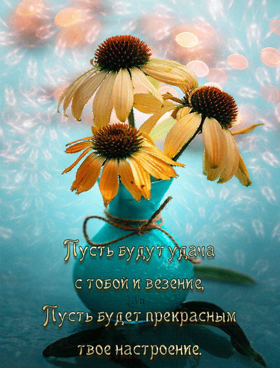 ffe34929ec8366929eff1a6df0c