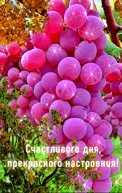 2ef004abb8c983c3262ed6aec5afbfbe