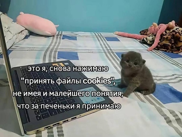 6b337c4478 20292302