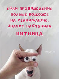 Images (31)