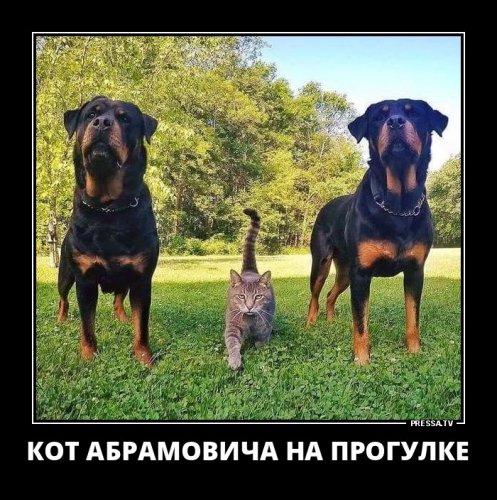 picture_211937301