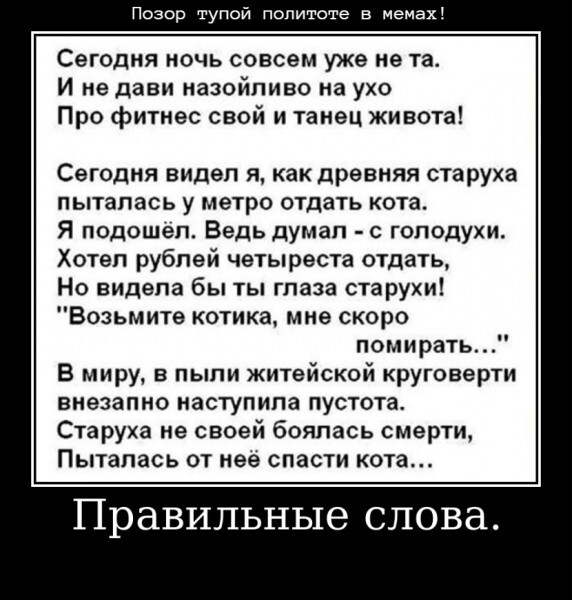 Старуха и кот