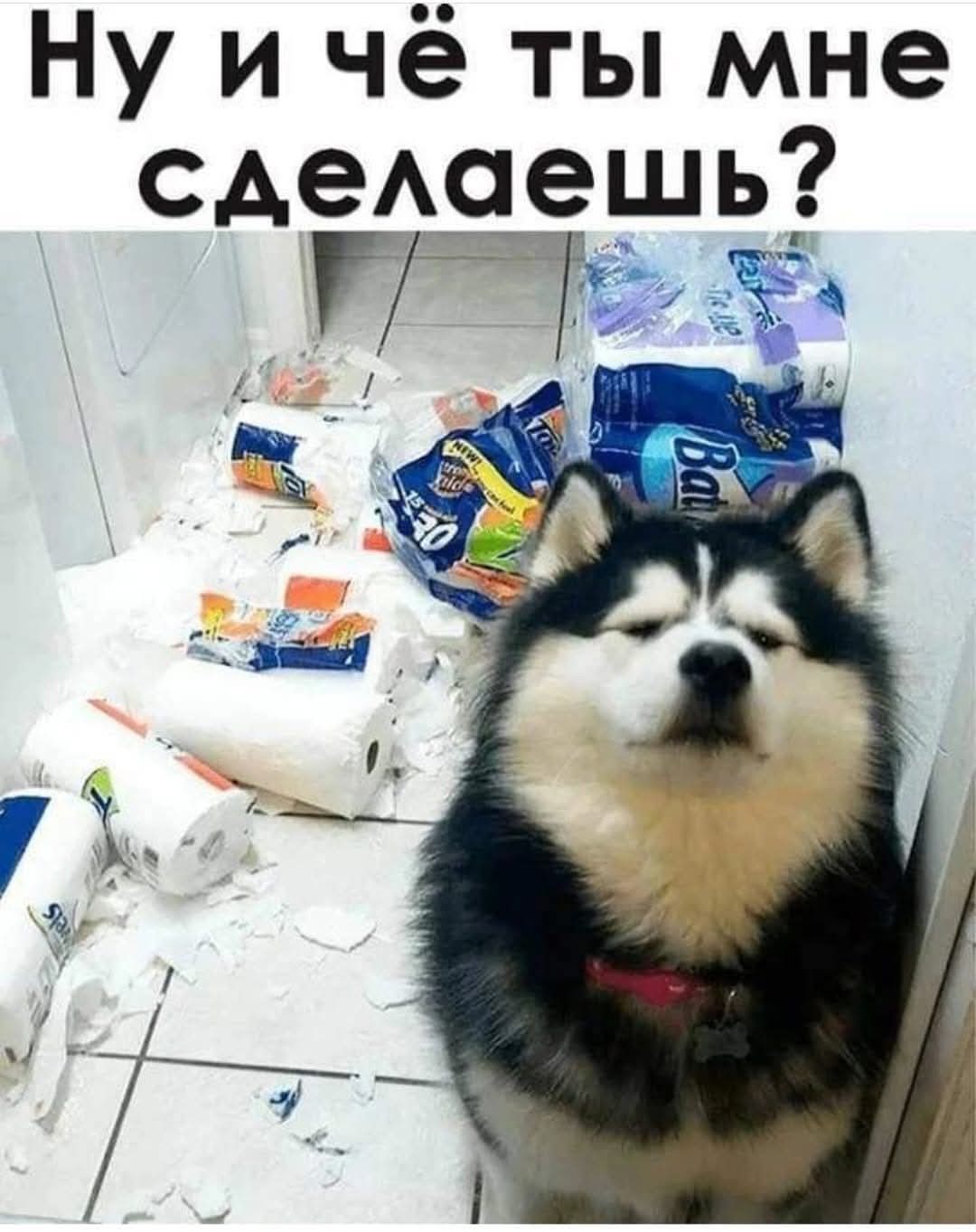 FB IMG 1769636324096