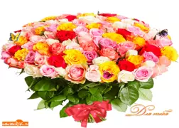 image(608)