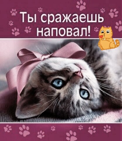 Красота
