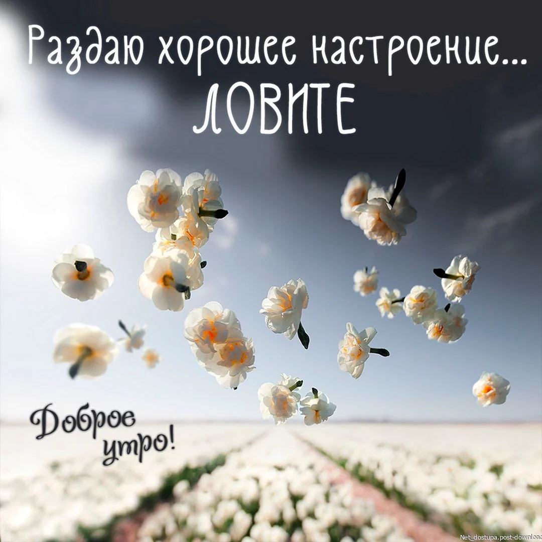 Dobroe-utro-udachnogo--otlichnogo-nastroeniia-so-smyslom-2