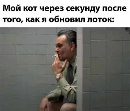 0dd9be4f63 20333990
