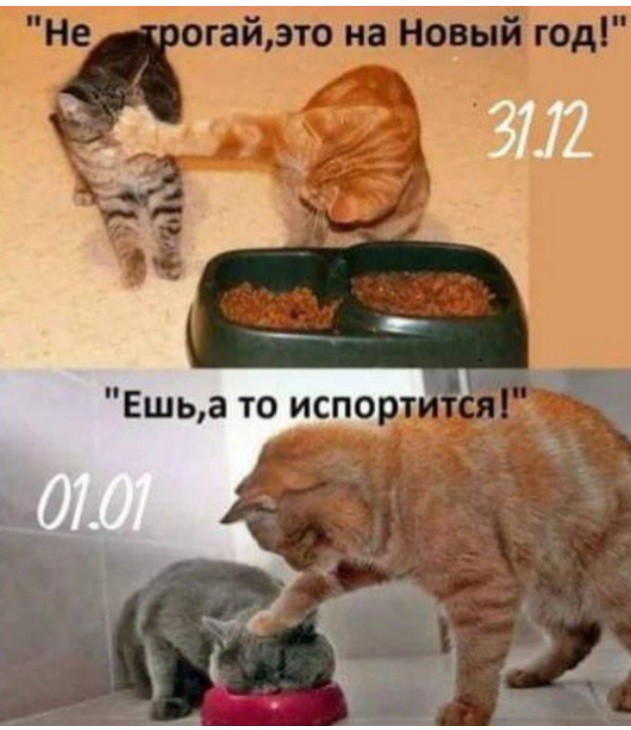 ))