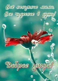 IMG-ab8bdabacf796aaa928f4b64b8ac8922-V