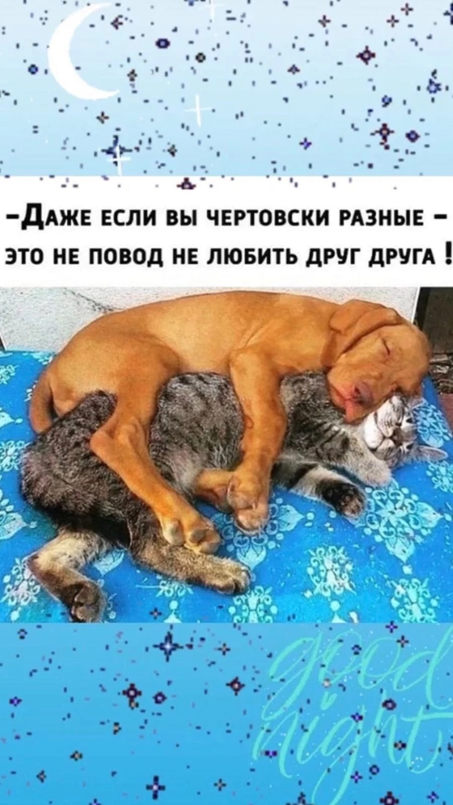Да!