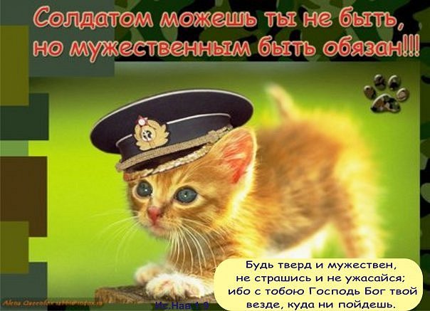 file_13814825