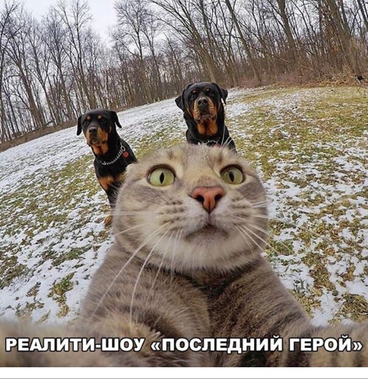 IMG 20180710 184149