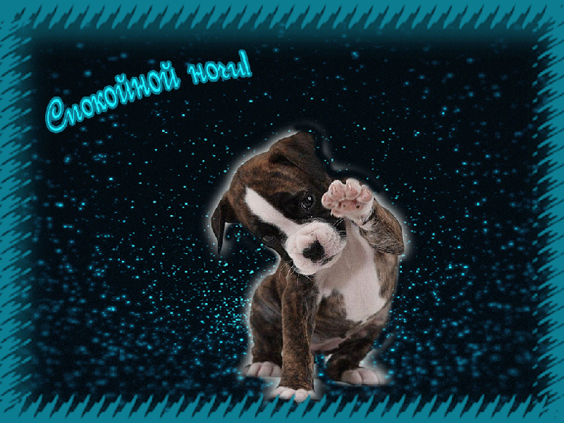 Спокойной ночи
