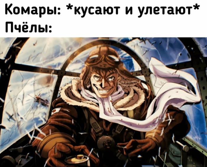 F13e45e281 00000000