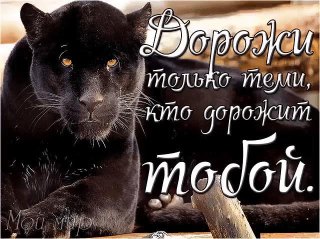 image(985)