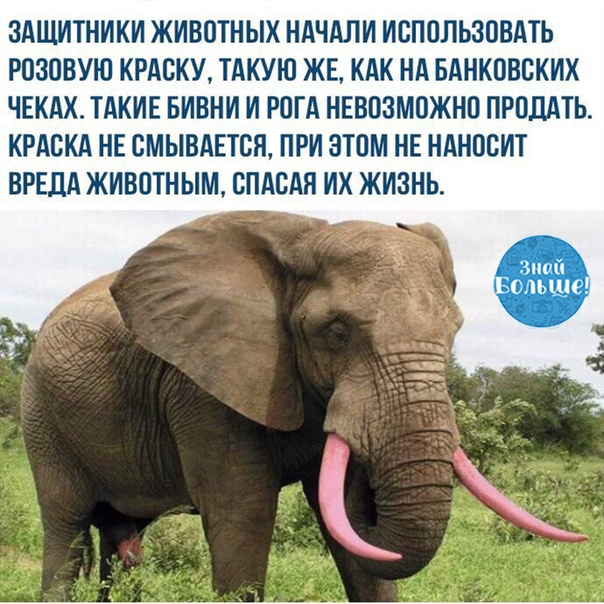 a1KBdHUyZEk