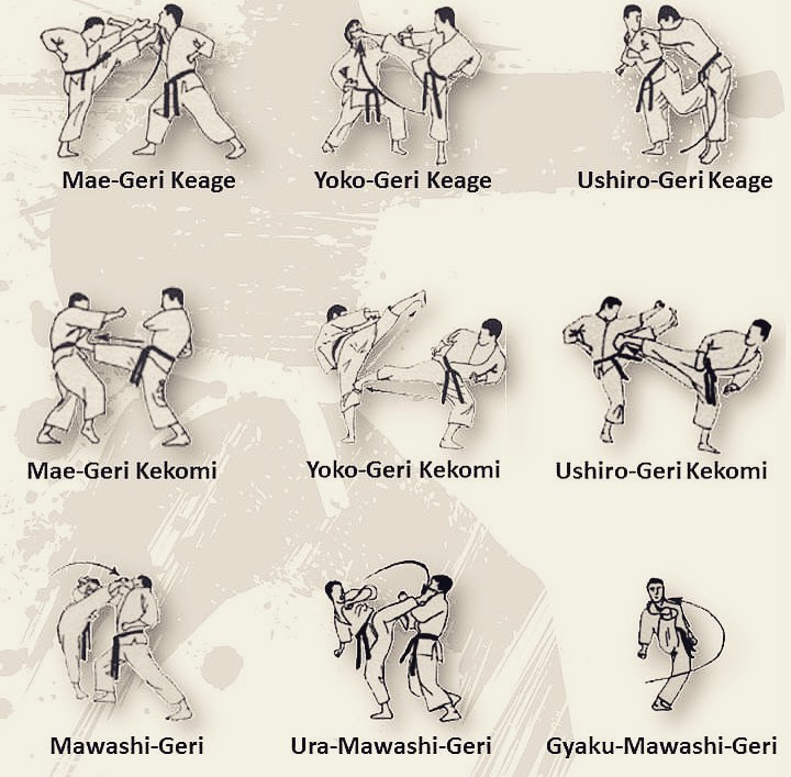 karate club