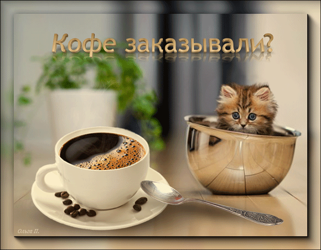 Кофе заказывали?