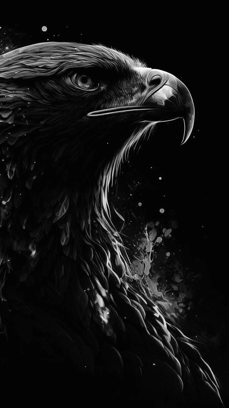 file_97193480
