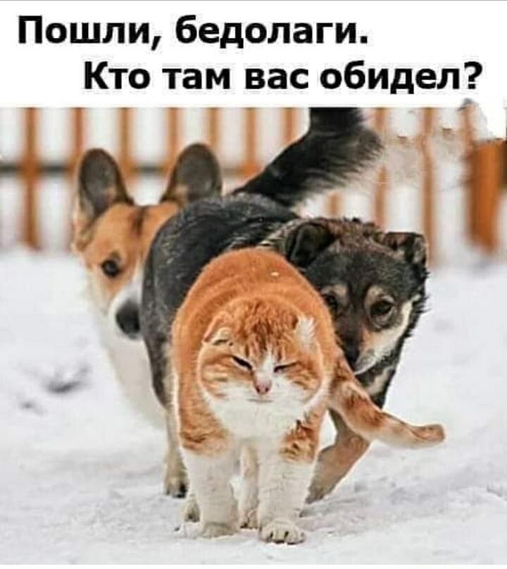 А?