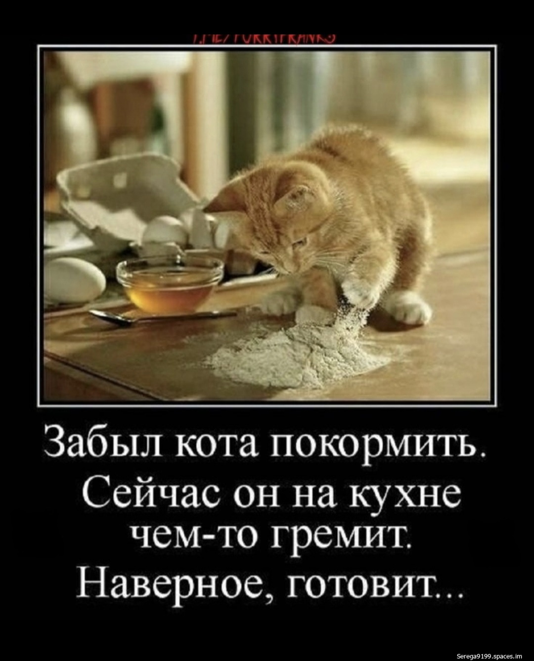 picture_403393386