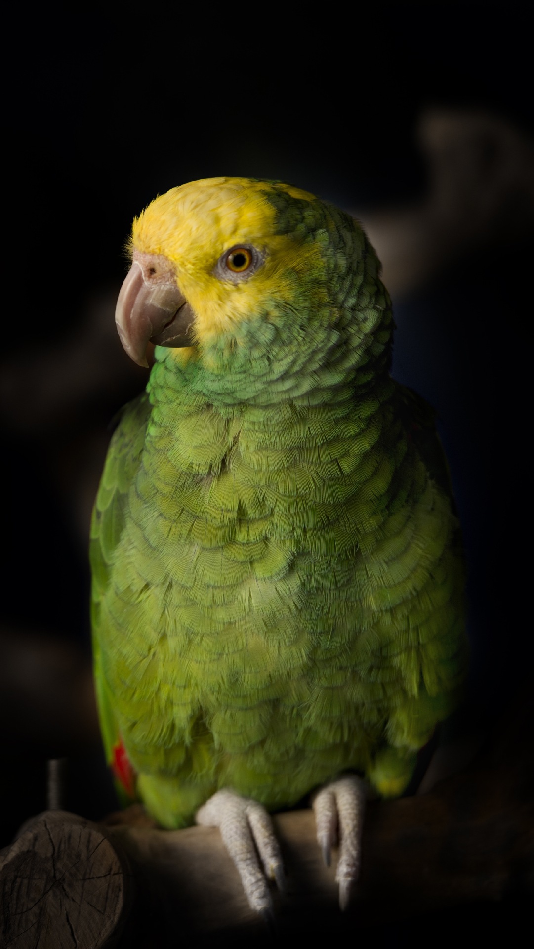 uhd