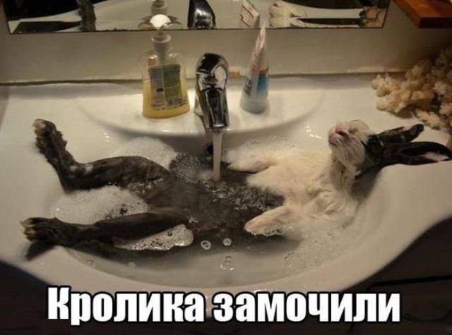 85c4073e0f 20346391