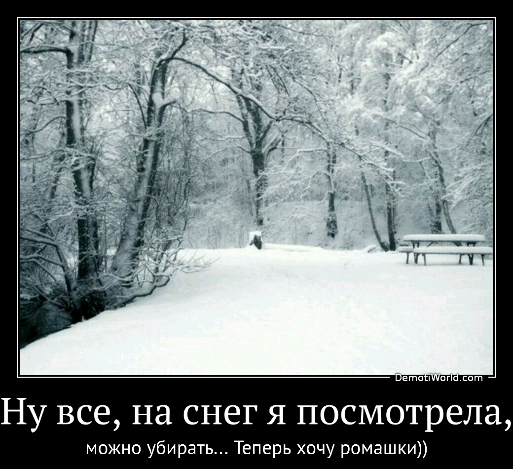 Теперь хочу ромашки))