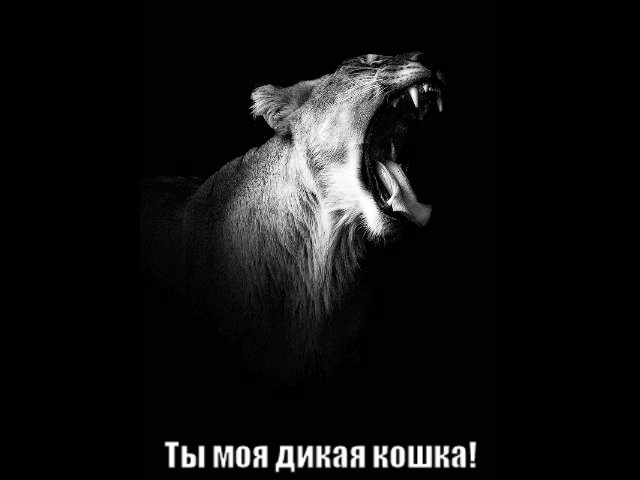 GIF-210903 000609