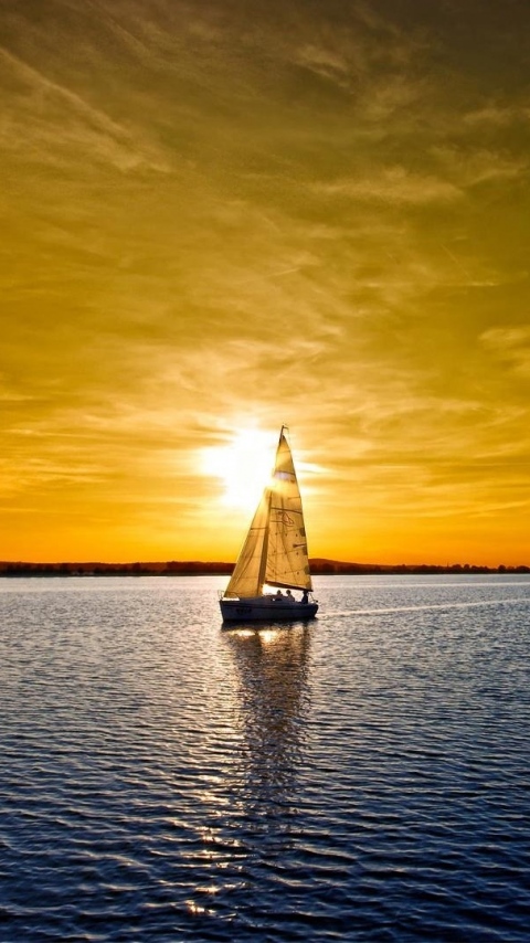 wallpaper 480x854 14 19