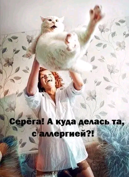 file_103248520