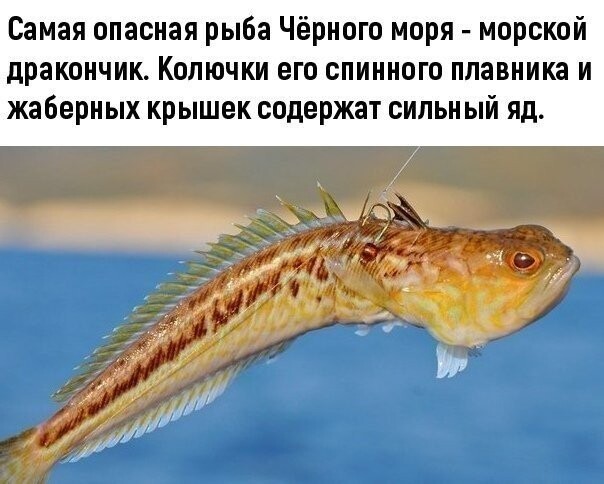 IMG 20201219 073621