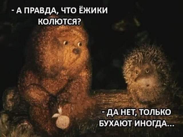 FB IMG 1731414295399