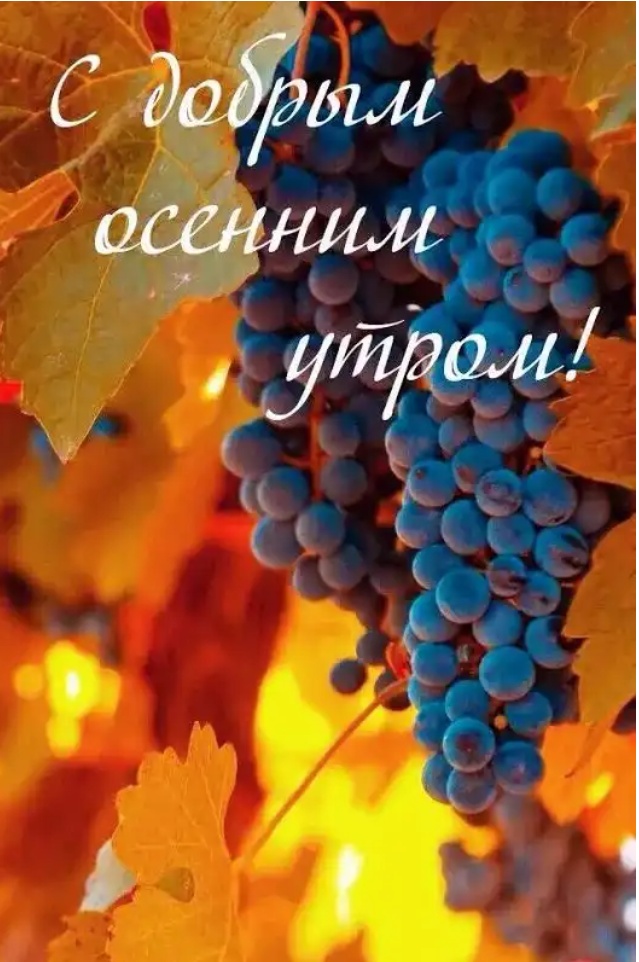 IMG 20191031 070947