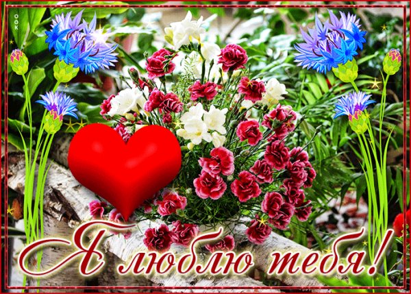 любовь 190057