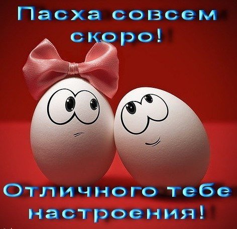 9IoU5T66UnU