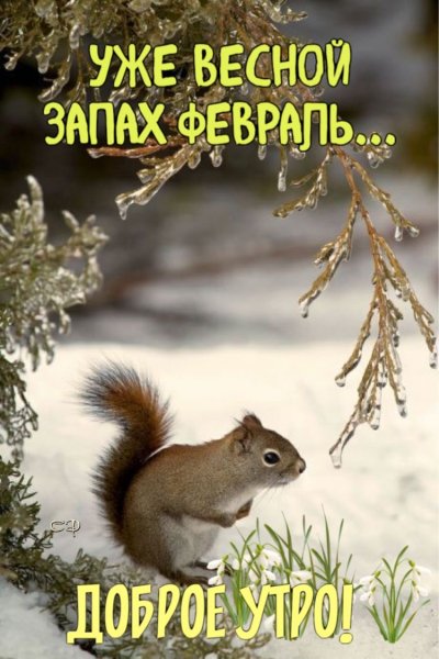 file_92876005