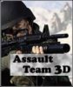 assault team 3d