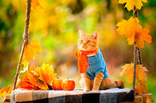 file_91463235