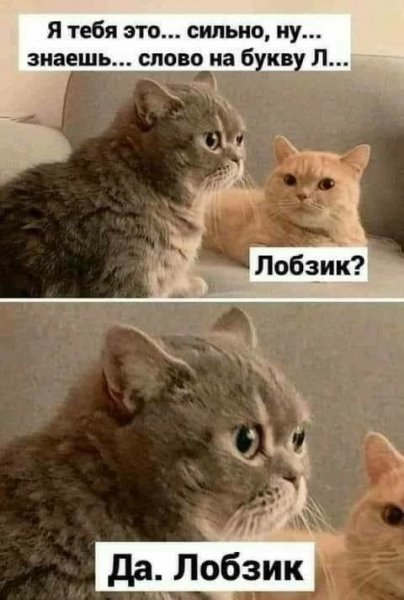 file_103192438