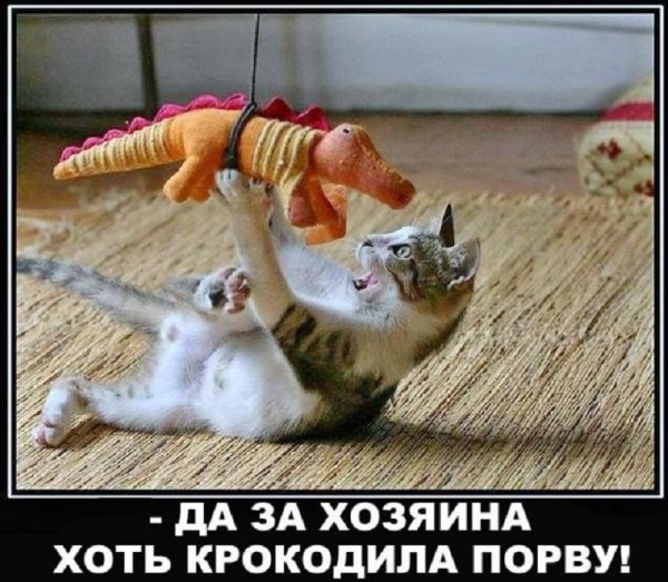 Да я...