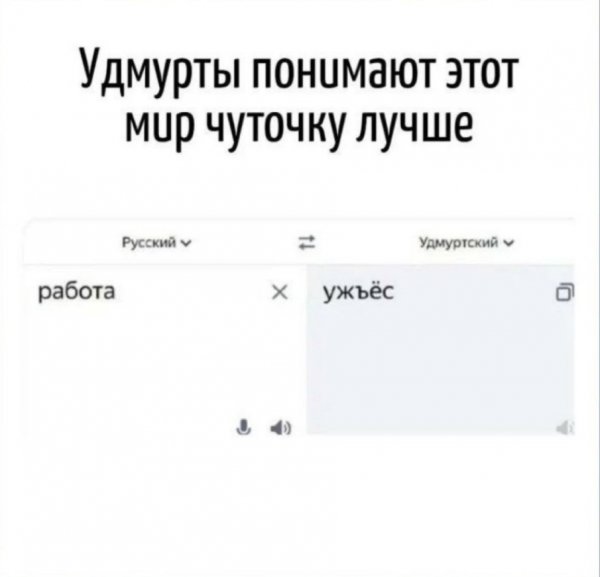 IMG 20260428 105508